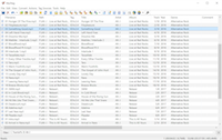 Mp3tag main window with many enabled columns in file view